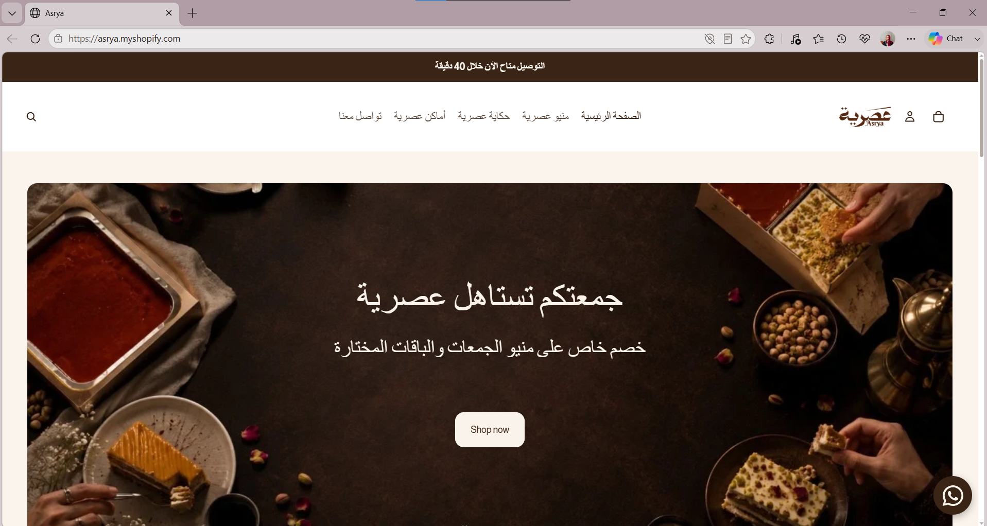 Asrya Shopify Preview
